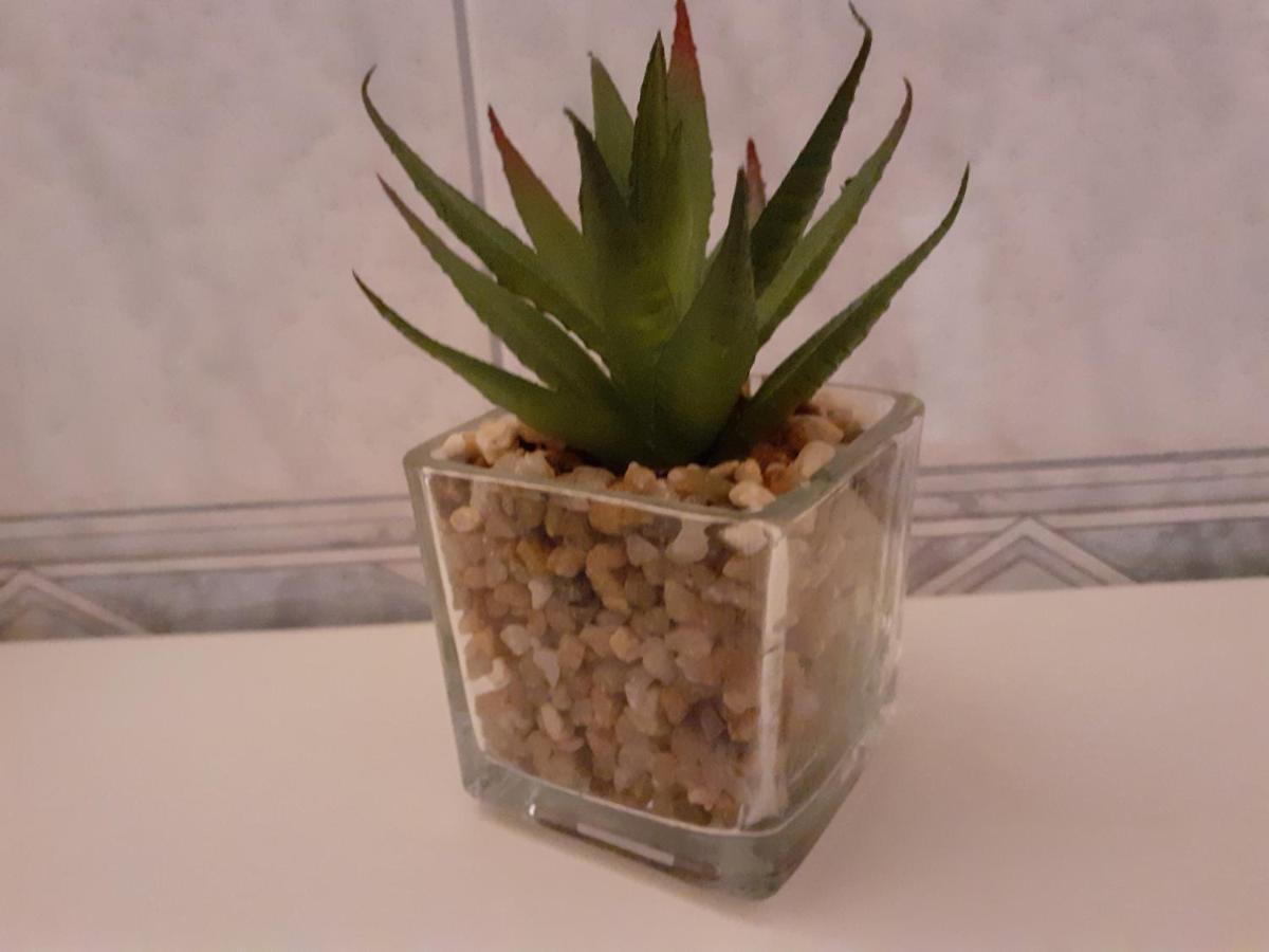 Siesta Apartma Split
